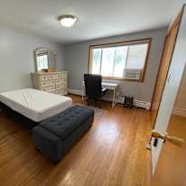 Leonardo's room