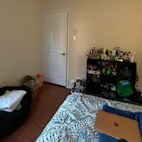 ochi's room
