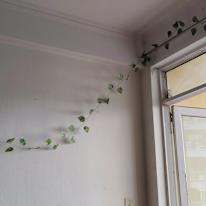 Vidushi's room