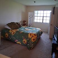 Rachel's room