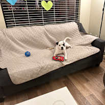 Sarah's room