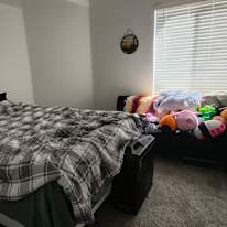 Tabatha's room