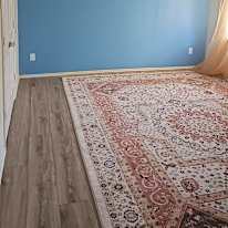 Ayesha's room