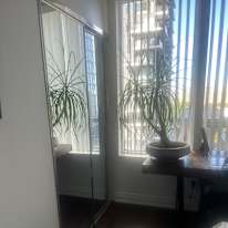 Robert Peach's room