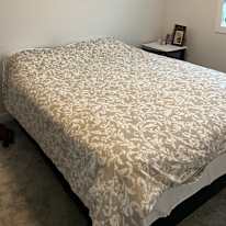 Jeanine's room