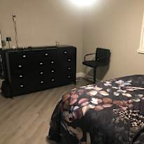 Donna Collins's room