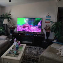 Tamera's room