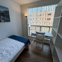 Ellie's room