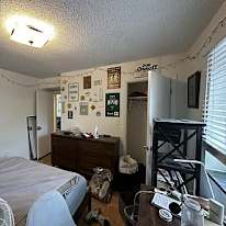 Alnarie's room
