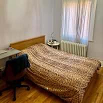 Andrea's room