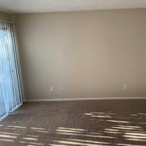 Finosh's room