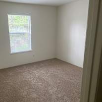 Cecilia's room