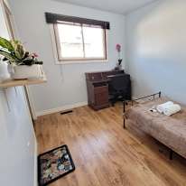 Niloofar Najafkiya's room