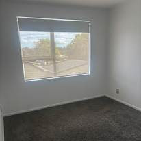 Jonty's room