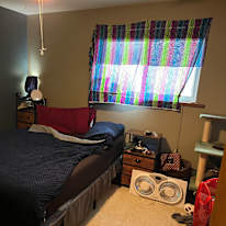 Brad's room