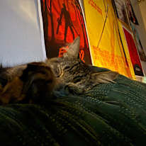 Rian's room