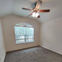 david's room