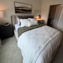 Zubin's room