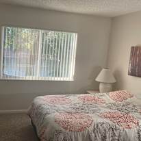 Dave's room