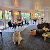 Andrew Kim's room
