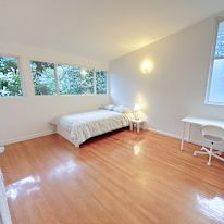 Shirin's room