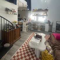 Olivia's room