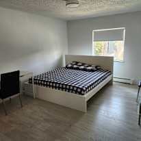 Milomir's room