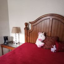 Mary's room