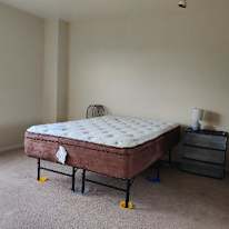 D's room