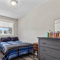 Todd's room