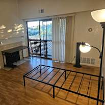Snehal Vaishampayan's room