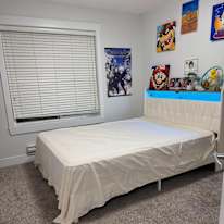 Ngan Phan's room