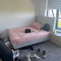 Kishan's room