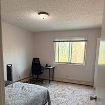 Saleh's room