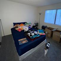 Isaac's room