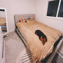 Deeya's room