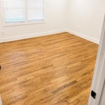 Sofia's room
