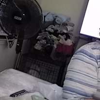 Alicia rosell's room