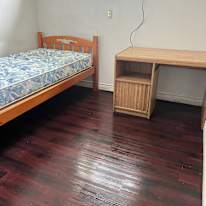 Lily's room