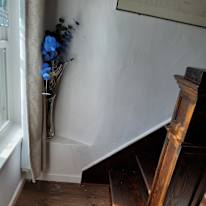 Stacey's room