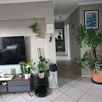 Daniel's room