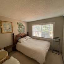 Lisa's room