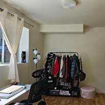 Negin's room