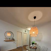 shay's room