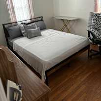nesfa's room