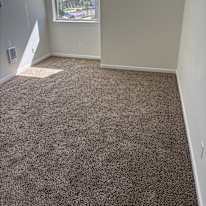 Kaleb's room