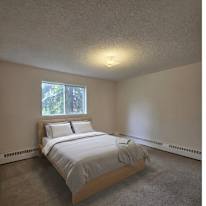 Todd's room