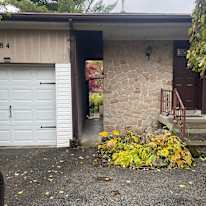 Shawn Mashouf's room