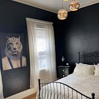 Federal Hill Roommates's room
