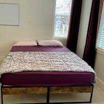 Lily's room